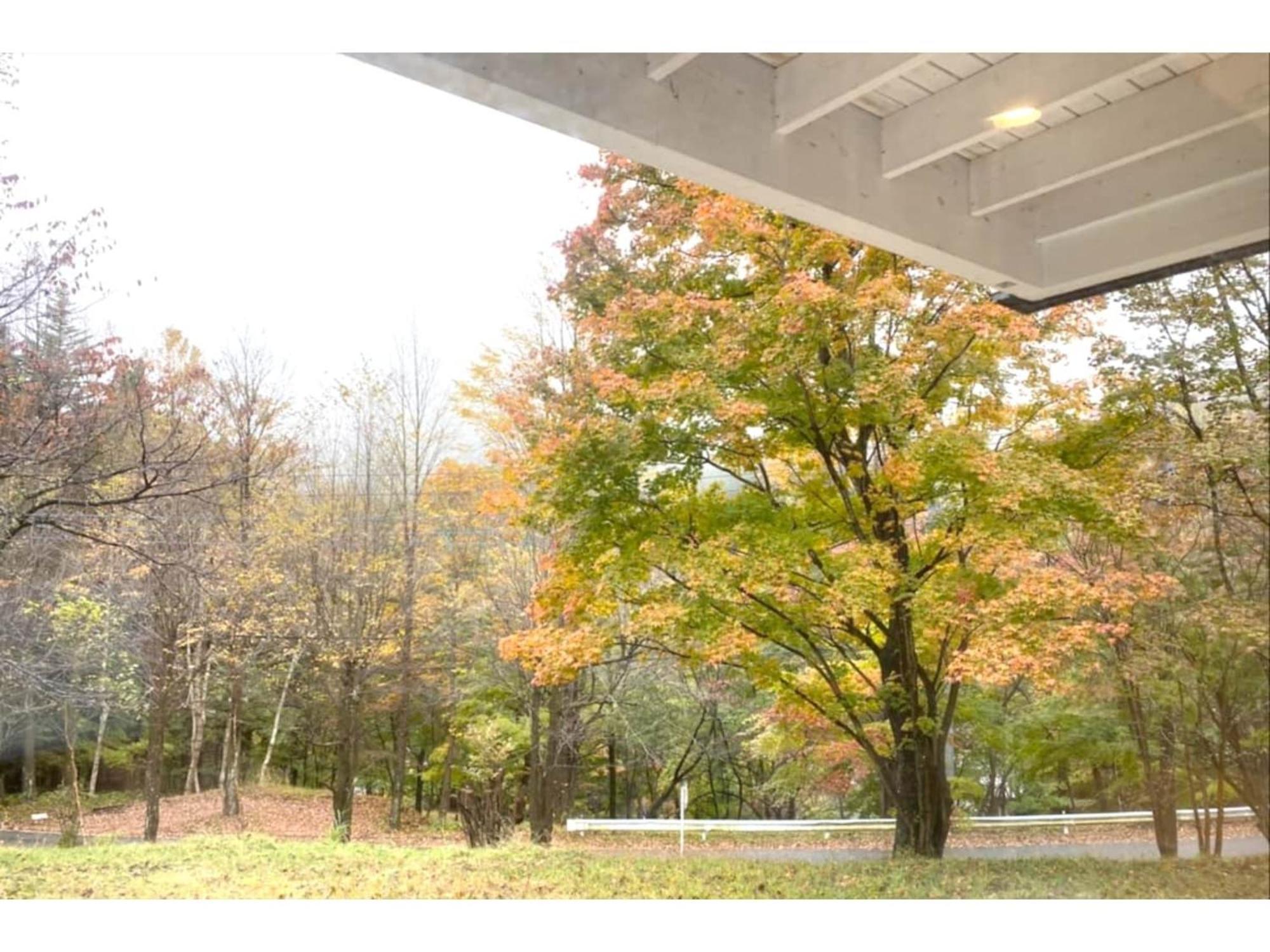 Polar Haus Minamikaruisawa1 - Vacation Stay 88000V Karuizawa Exterior foto